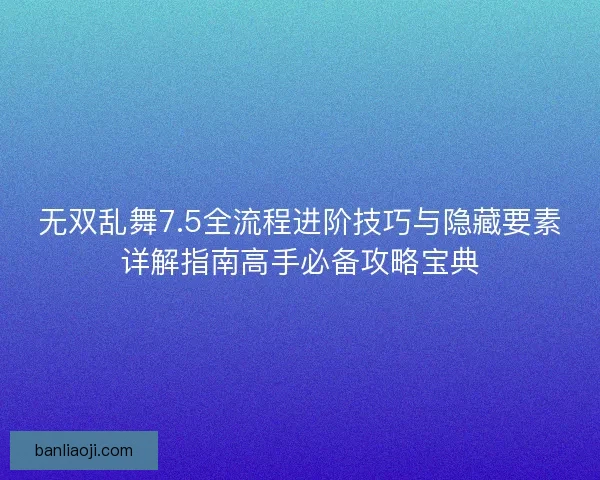 无双乱舞7.5全流程进阶技巧与隐藏要素详解指南高手必备攻略宝典