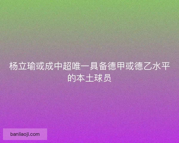 杨立瑜或成中超唯一具备德甲或德乙水平的本土球员